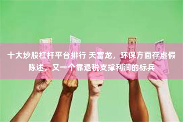 十大炒股杠杆平台排行 天富龙，环保方面存虚假陈述，又一个靠退税支撑利润的标兵