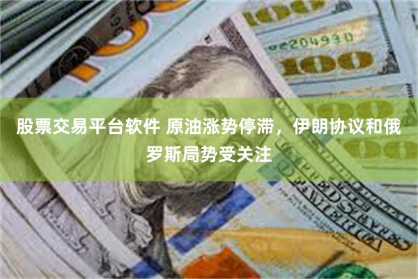 股票交易平台软件 原油涨势停滞，伊朗协议和俄罗斯局势受关注