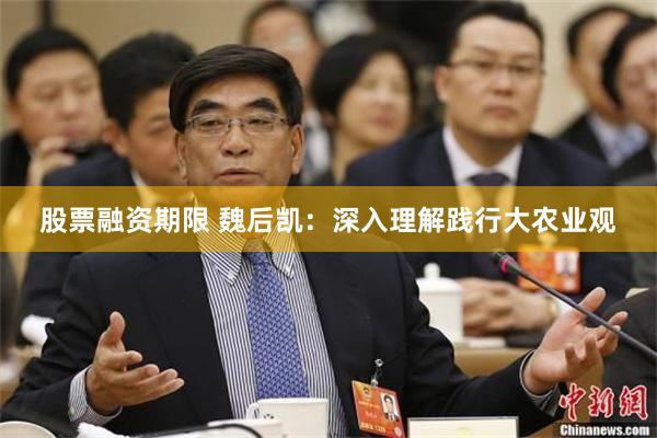 股票融资期限 魏后凯：深入理解践行大农业观