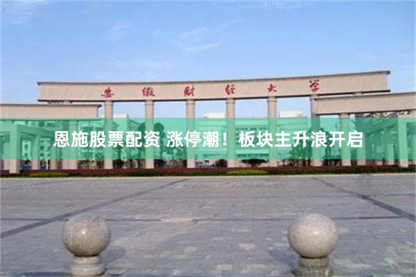 恩施股票配资 涨停潮！板块主升浪开启