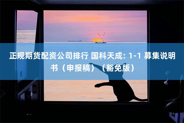正规期货配资公司排行 国科天成: 1-1 募集说明书(申报稿)(豁免版)