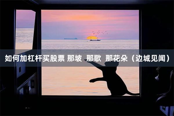 如何加杠杆买股票 那坡  那歌  那花朵（边城见闻）