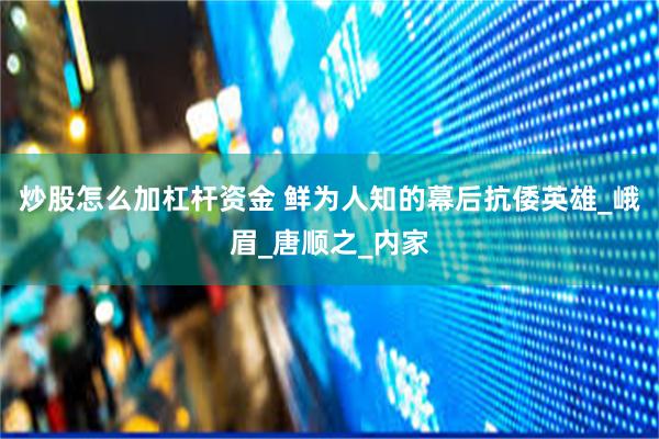 炒股怎么加杠杆资金 鲜为人知的幕后抗倭英雄_峨眉_唐顺之_内家