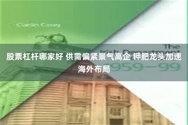股票杠杆哪家好 供需偏紧景气高企 钾肥龙头加速海外布局